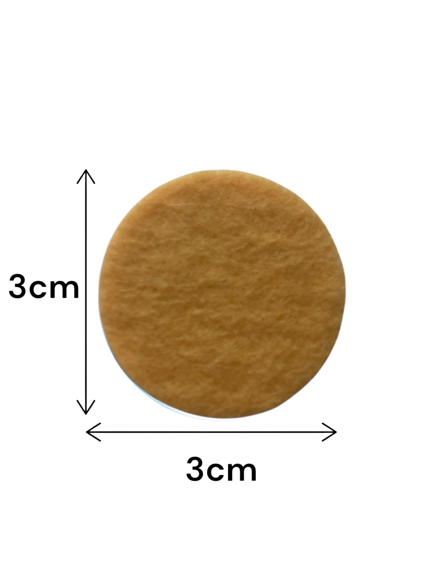 Caramel Pumpkin Latte Scented Vacuum Hoover Discs
