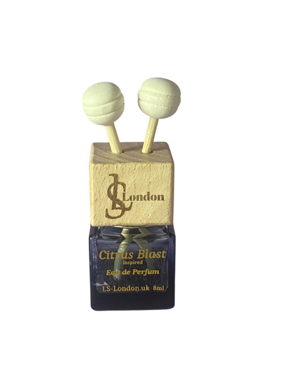 Unisex 8ml Hanging Or Clip on Car Diffuser