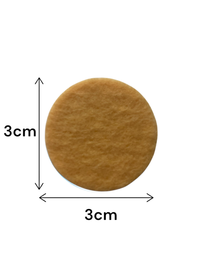 Caramel Pumpkin Latte Scented Vacuum Hoover Discs