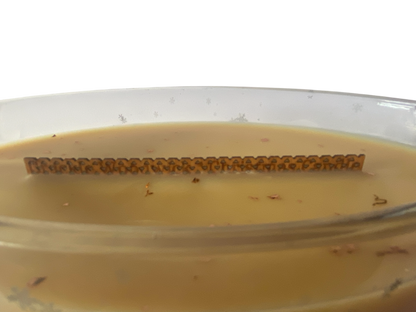 Create Your Own Christmas Trilogy Ellipse Candle 520g