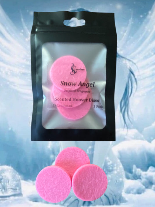 Christmas Scented Vacuum Hoover Discs