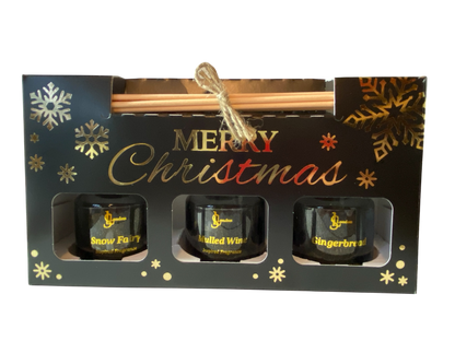 Female Designer Inspired Fragrance, Luxury Christmas Gift Set of 3 x 50g Reed Diffusers